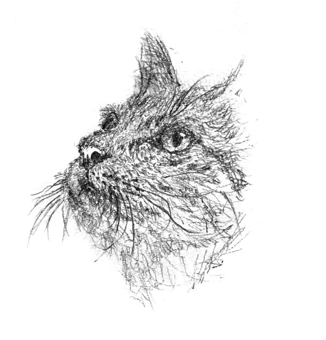 似顔絵やイラスト、全力で描きます 自分の持っている才能を最大限生かせるよう全力で頑張ります！ イメージ6