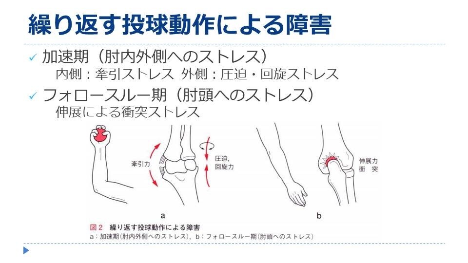 肩・肘の負担を減らすために投球動作をチェックします 少年野球〜プロ野球選手のリハビリを担当する理学療法士が実施 イメージ2