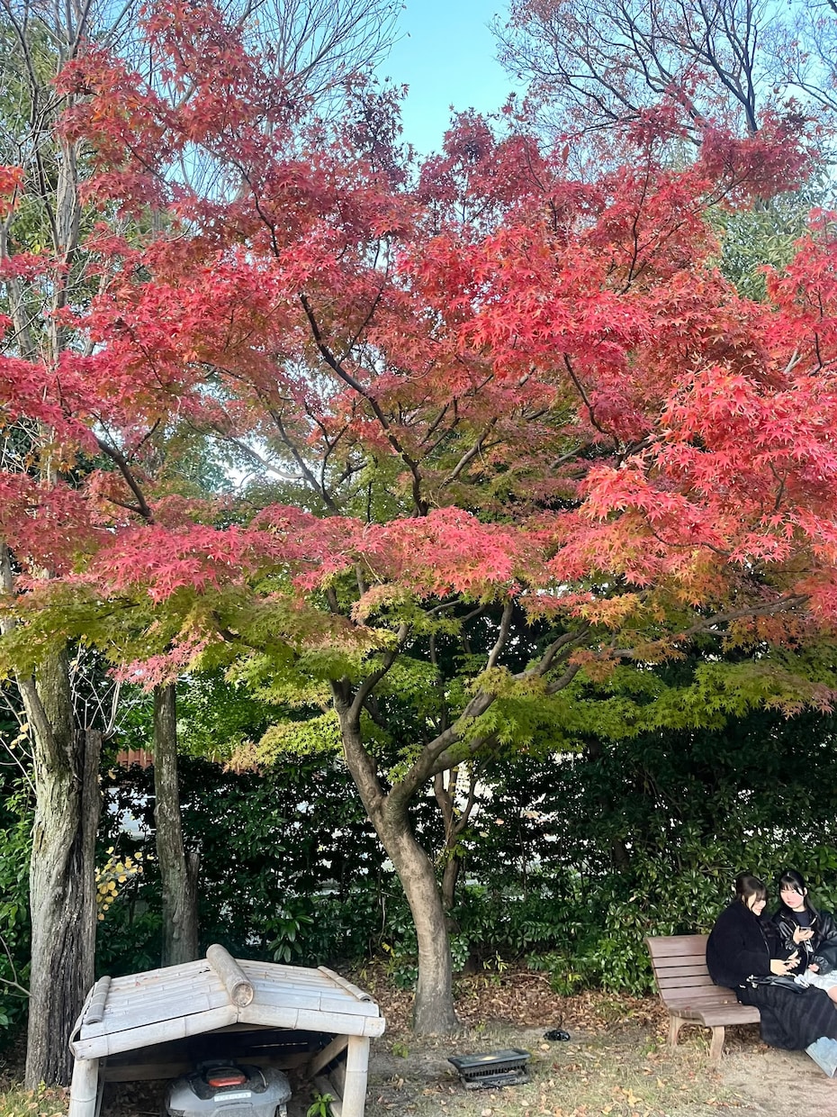 何気ない日にもお話相手になります 誰でもいいから話したい人必見恋愛、雑談、日頃の悩みを相談。 イメージ1