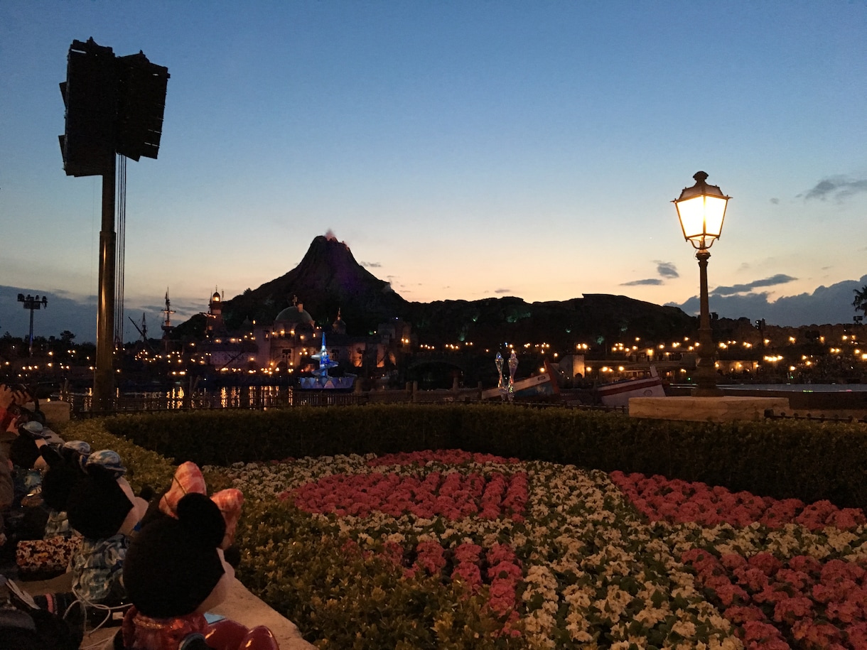 TDR･TDSでの特別な遊び方プランを作成します  イメージ3