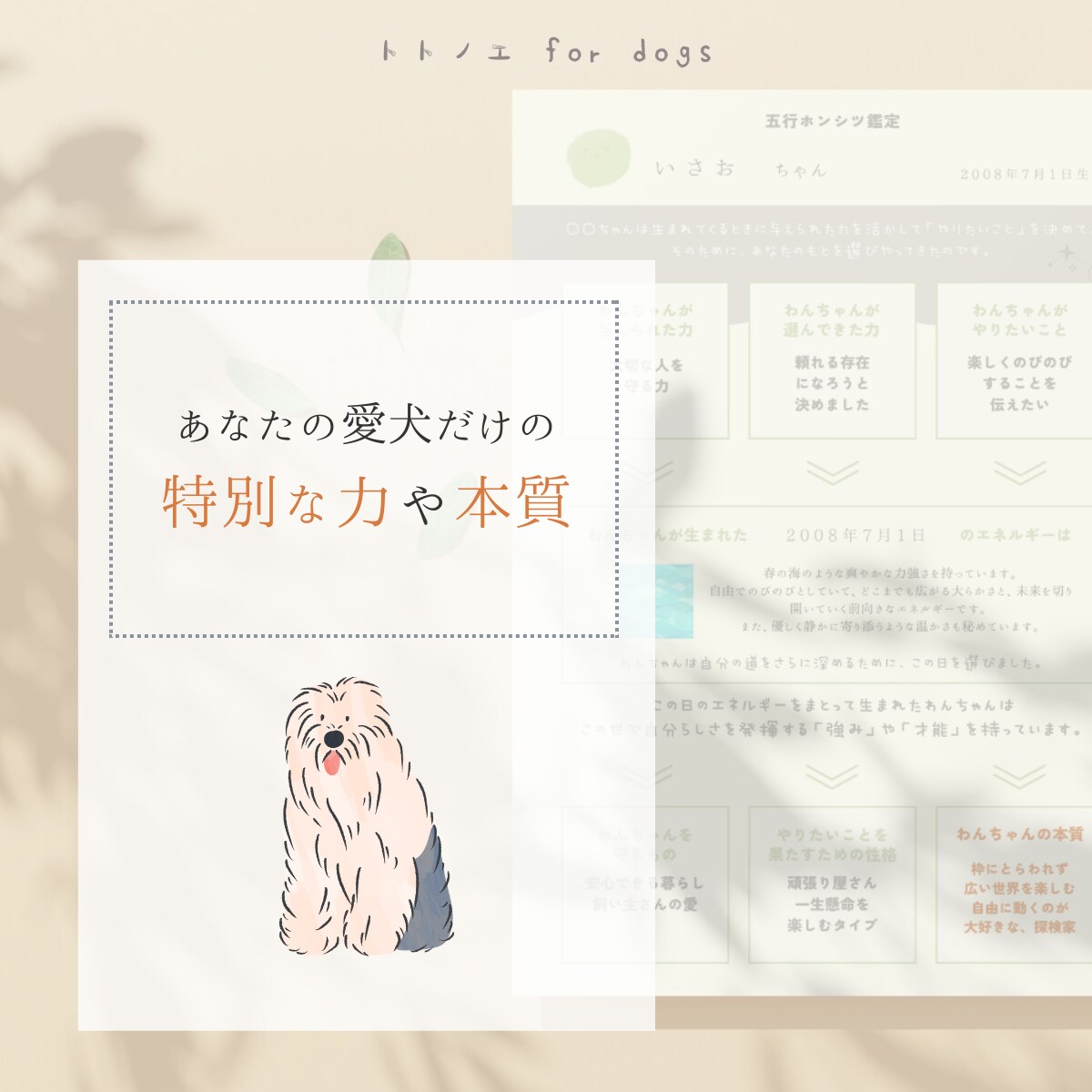 愛犬が生まれ持つ本質「人生の設計図」をひも解きます 愛犬の本質を深く知ることで、 今よりもっと愛おしい日々に。 イメージ2