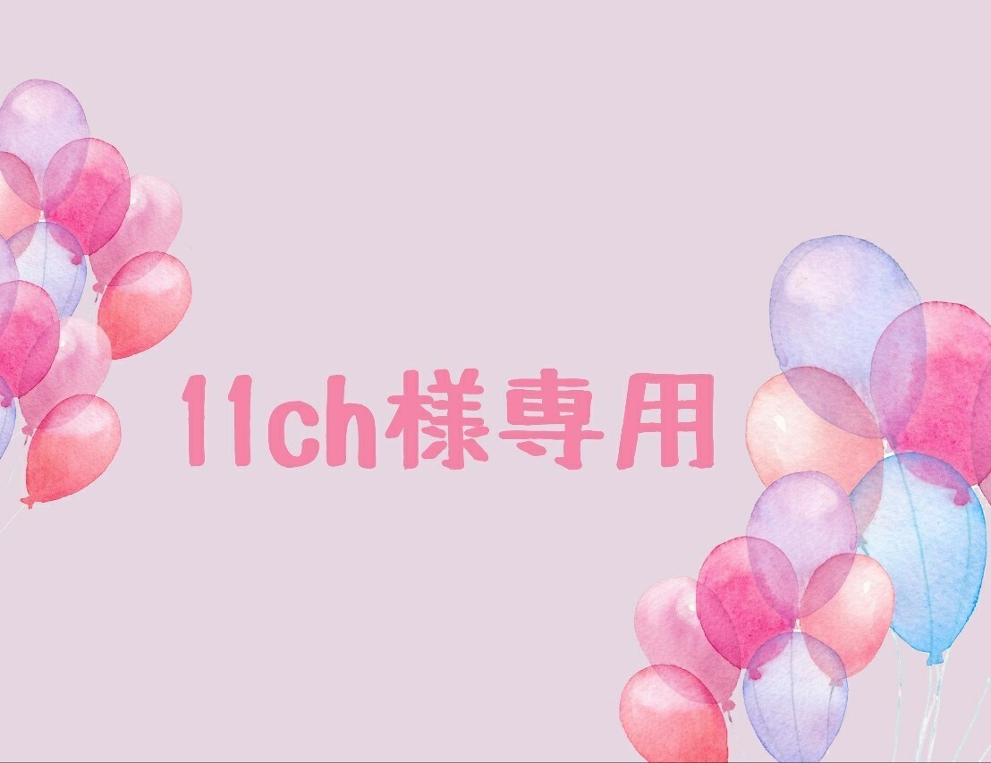 こちらはお客様専用出品になります ◇◆『11ch様』専用になります◇◆ イメージ1