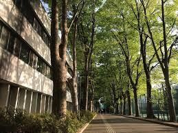 帰国子女の偏差値76高校生が中学の英語を教えます 1回2問まで丁寧に解答解説を作ります。 イメージ1