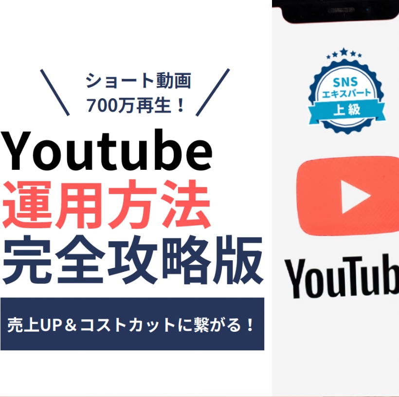 Youtube運用で成功するためのアドバイスします VSEO対策1位Google1ページ目上位表示多数10万人 イメージ1