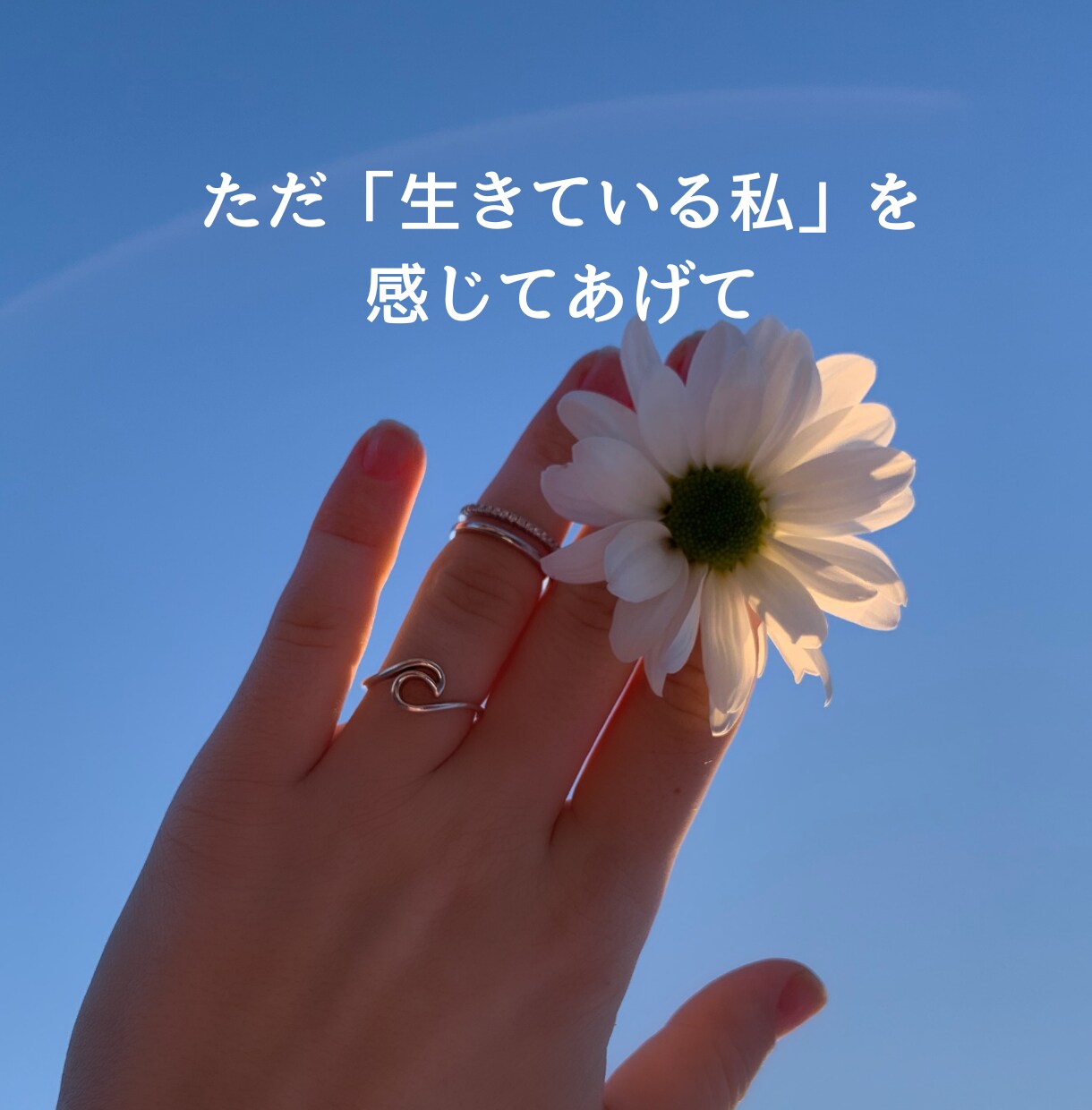 自分を責めてしまう心にそっと寄り添います ☆☆安心して本音を話せる対話で、心をそっとほどきます☆☆ イメージ10