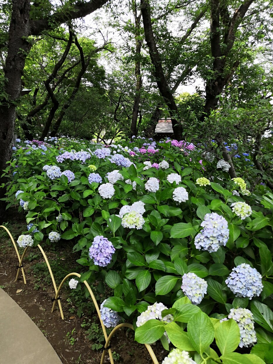 育休中主婦がお悩み（仕事、家庭、恋愛、）を聞きます どんな小さなお悩みでも気軽に話して下さい(^o^) イメージ2