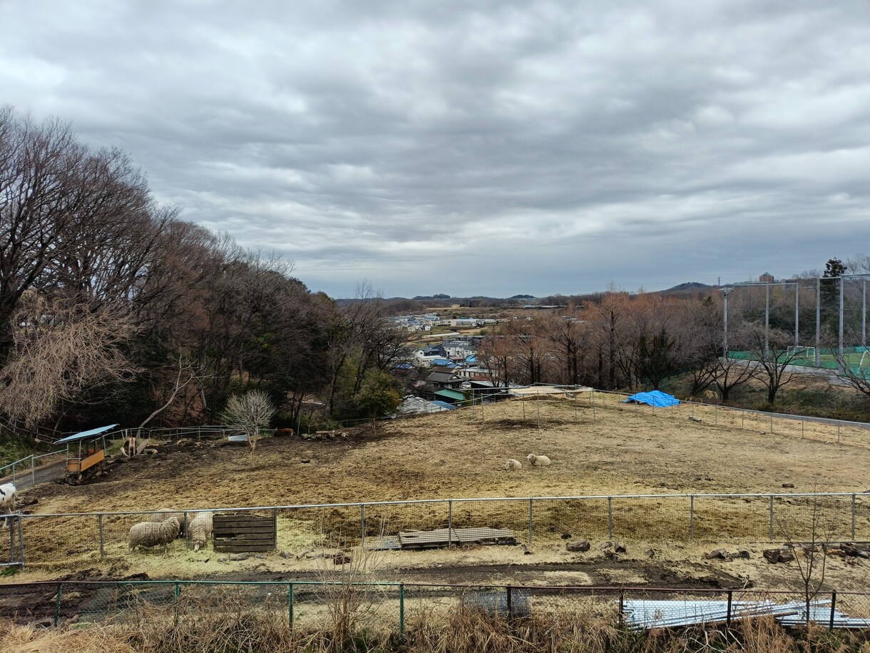 仕事の悩み、夫婦間の悩み人間関係の悩みお聞きします 職場内にて、年齢男女問わずよく相談を受けます。 イメージ5