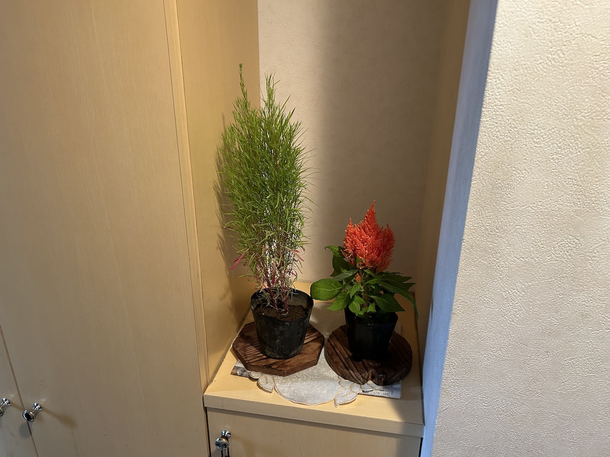 主介護者様としっかりつながります 主に介護されている方と一緒に笑顔になりましょう イメージ1