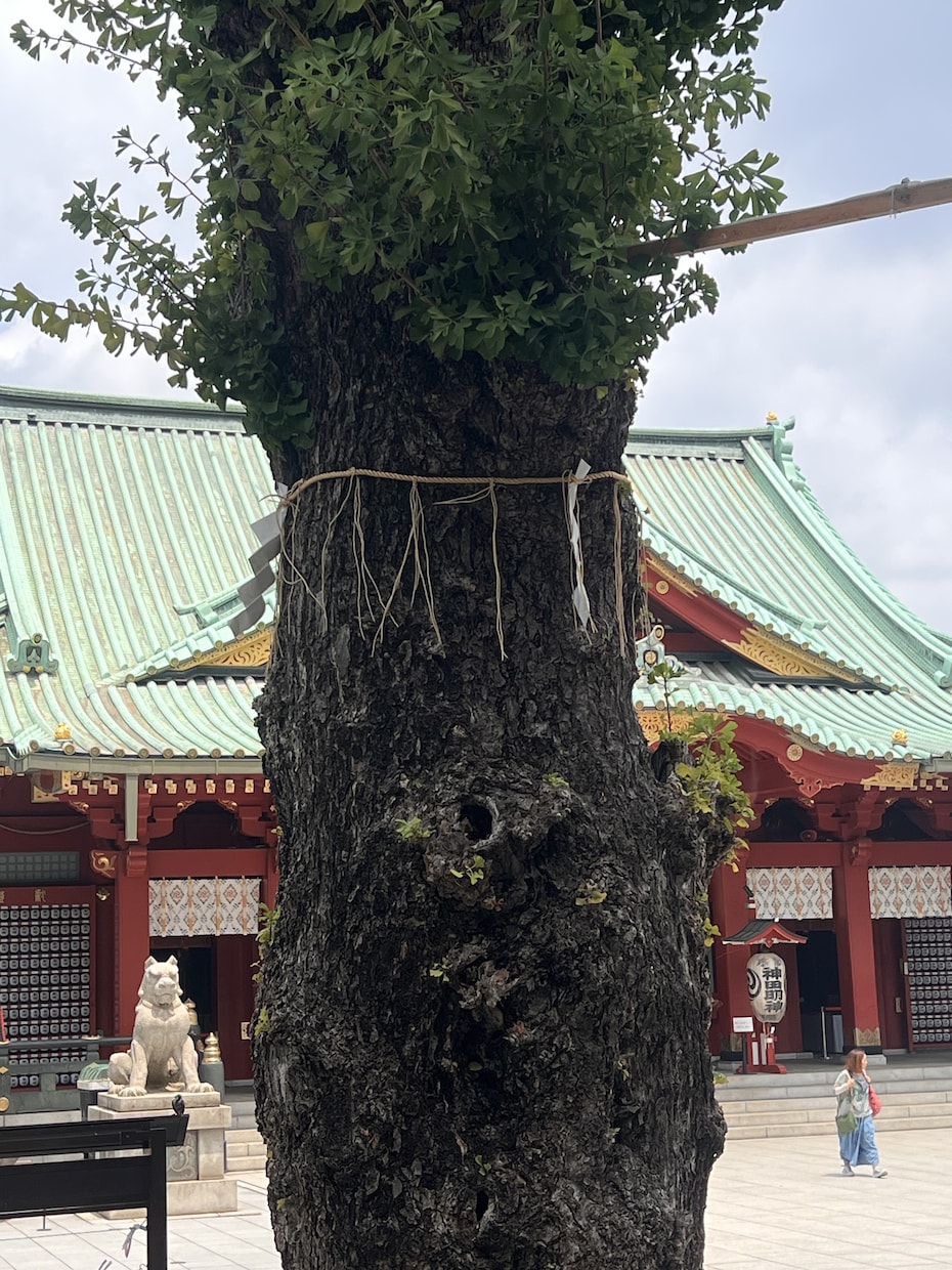守護霊様から言ノ葉♦️聴こえるままお届けします 鑑定歴18年＊不安もやもや｜好転のきっかけを霊聴から伝えます イメージ7