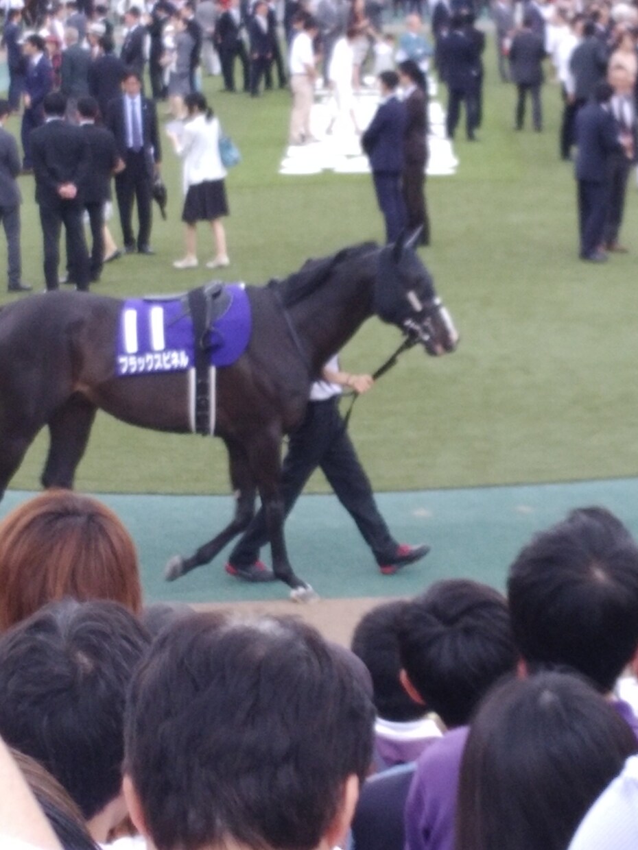中央競馬の予想します 競馬に興味があるけど、予想が当たらない又は自信がない方向け。 イメージ1