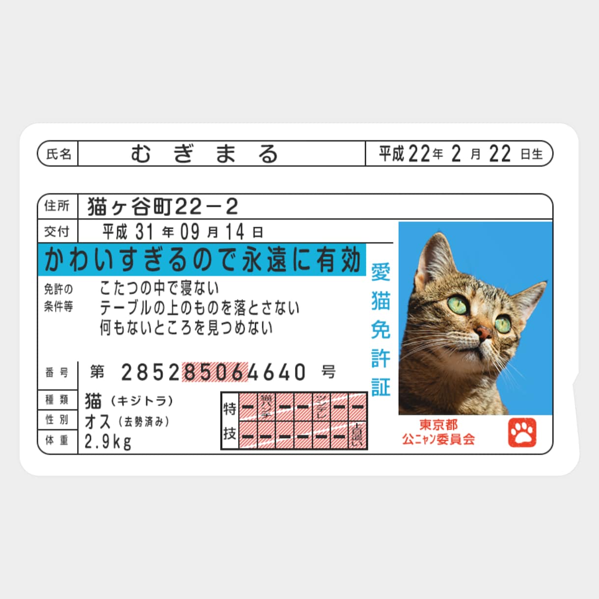 運転免許証そっくりなICカードステッカー作ります ペットの写真で作って、Suicaなどに貼っちゃおう！ イメージ2
