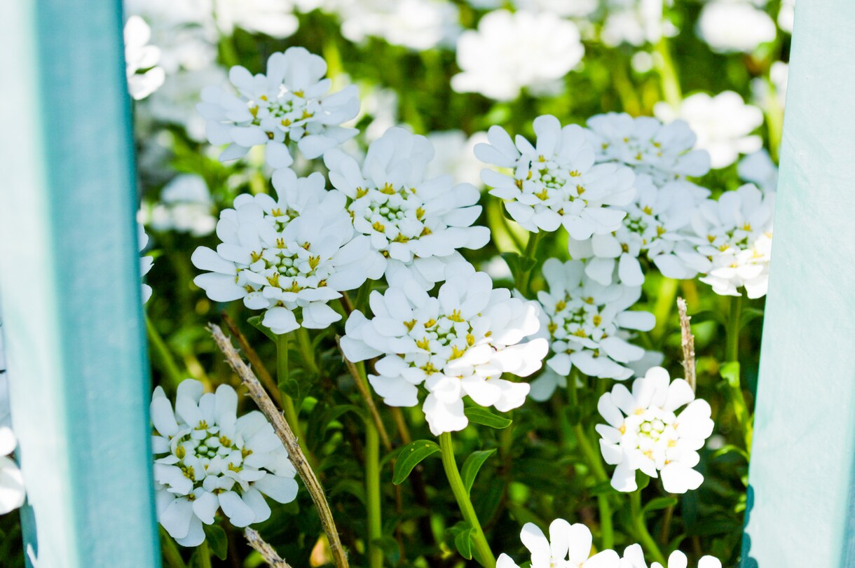 写真のレタッチします 時短のお手伝いさせていただきます★ イメージ8