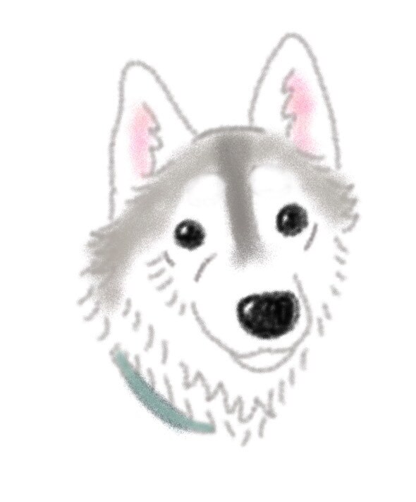 愛犬のイラストを描きます 世界一可愛いあなたの愛犬イラスト柔らかいタッチのイラスト イメージ8