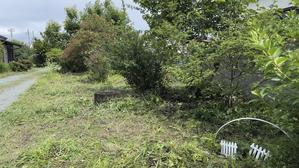 元森林組合×宅建士！空き地の草刈り代行します 立ち会い不要！不動産と山のプロが空き地などの草を刈ります イメージ6