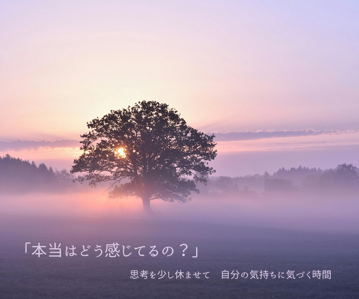 本当はどう感じている？から自己理解を深めます 思考を少し休ませて、心の奥に置き去りにした気持ちに気づく時間 イメージ1