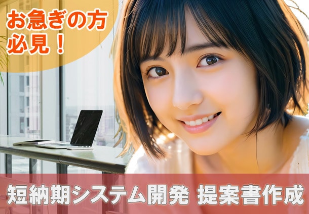 システム開発特化！良さが伝わる提案書を作成します お客様から「わかりやすい！」と言われるように心がけております イメージ1