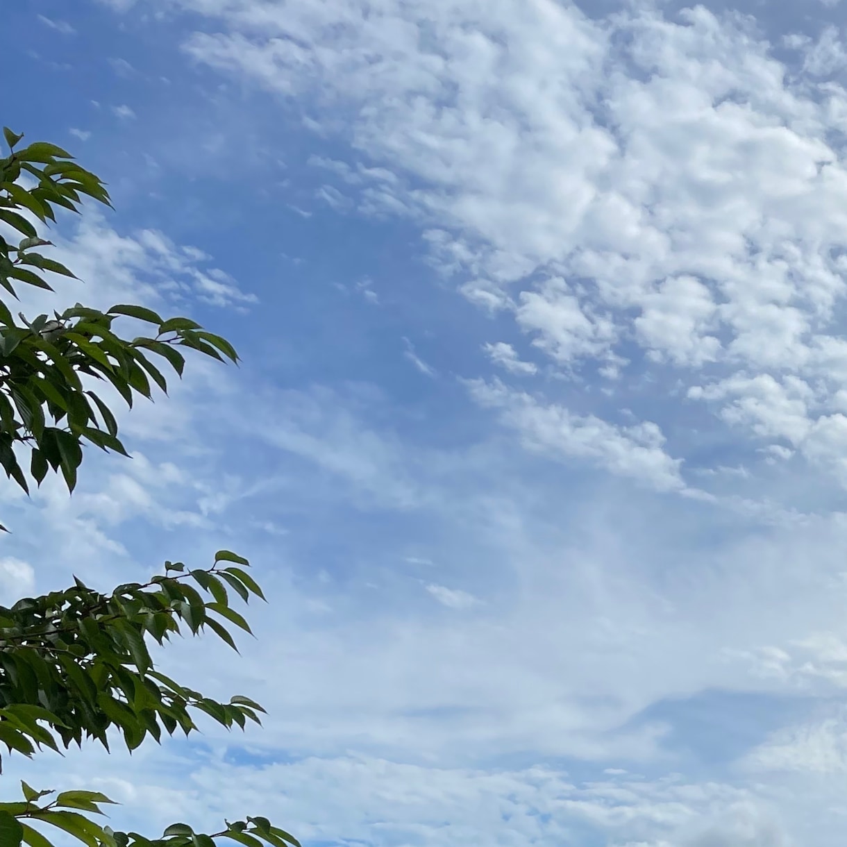 空　の写真素材を提供いたします 【空の写真】綺麗\癒し\素敵\ブルー イメージ2