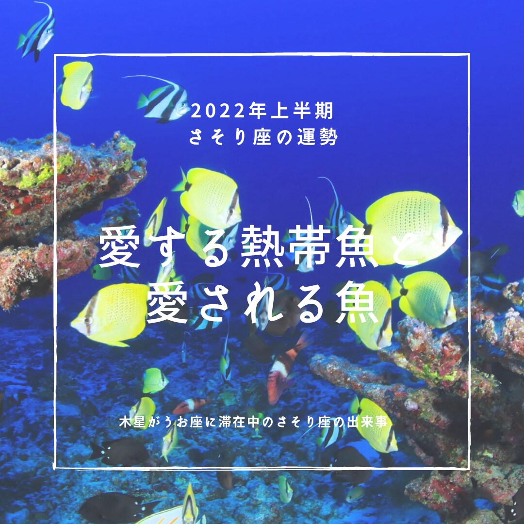 西洋占星術による2022年上半期の運勢をお渡します 時間のないあなたに、ブログやSNSなどに使用可能な運勢鑑定 イメージ9