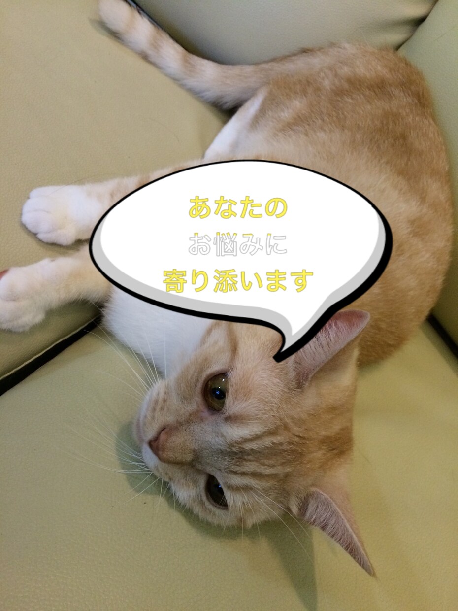 あなたのお悩みに寄り添います 小さな不幸の経験は、あなたのお役に立つはずです(^^) イメージ1