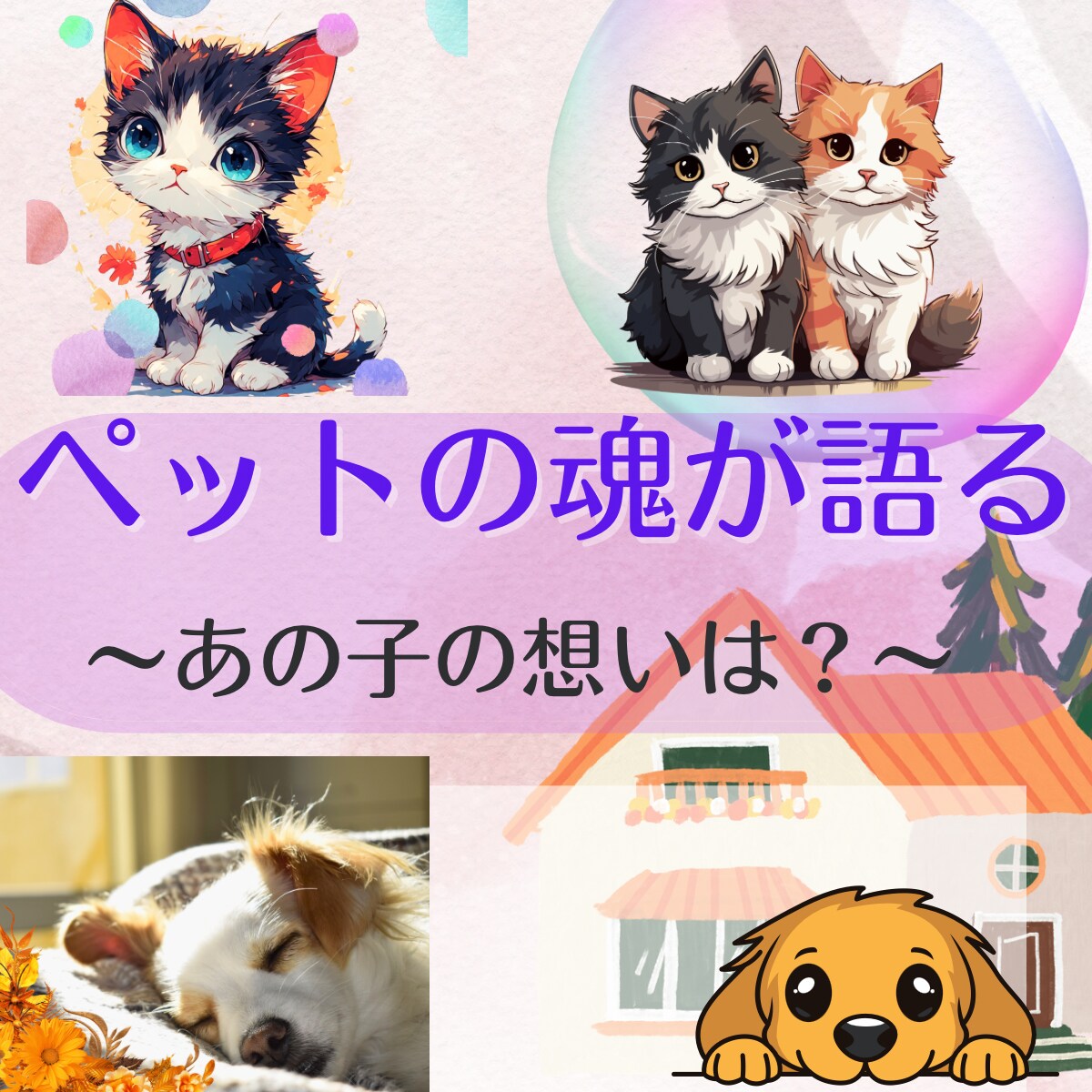 大切なペットと繋がり霊視鑑定とヒーリングを致します 貴方の知りたい家族の気持ちをお伝えします☆* イメージ1