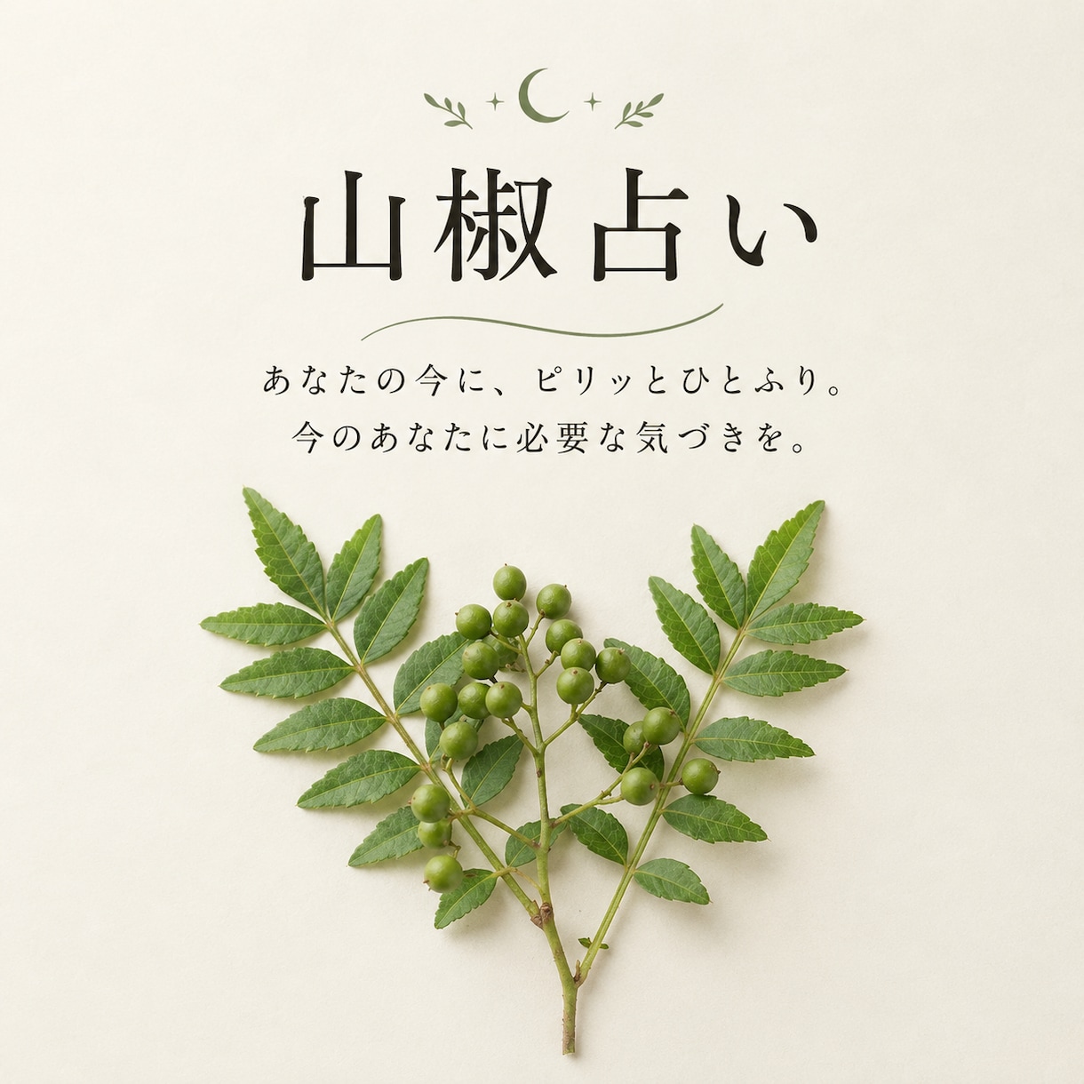 山椒占い/今のあなたに必要なメッセージを届けます なんとなくモヤモヤするあなたへ、ひと粒の気づきを イメージ1