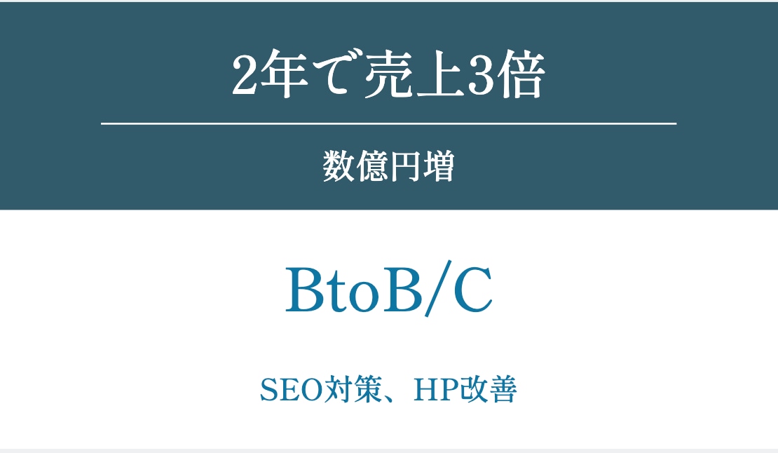 WEB戦略・ホームページを格安で診断します WEBマーケティングの専門家が売上アップの診断をします イメージ7