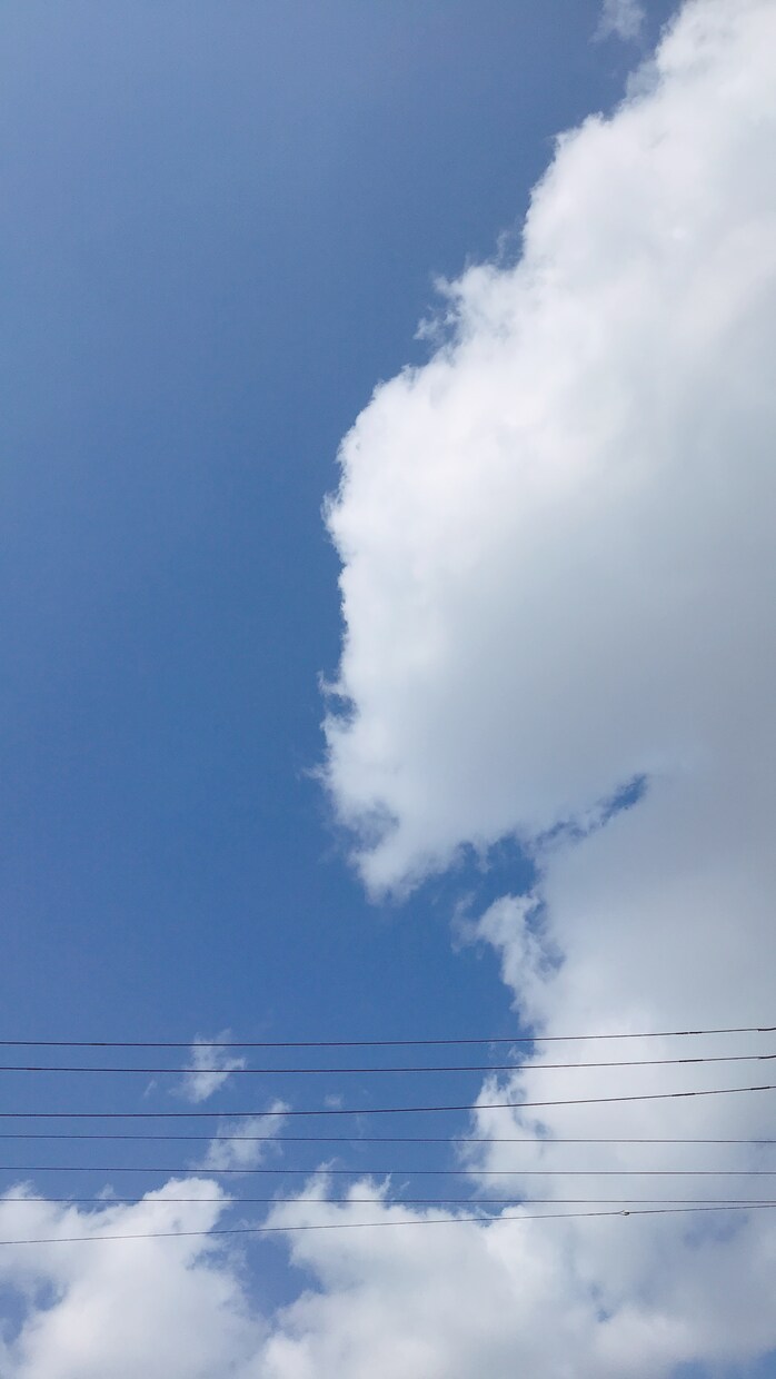 若者ならではの悩み(バイト・恋愛等)相談に乗ります 「あなたの大切な時間を実りあるものにします！」 イメージ1