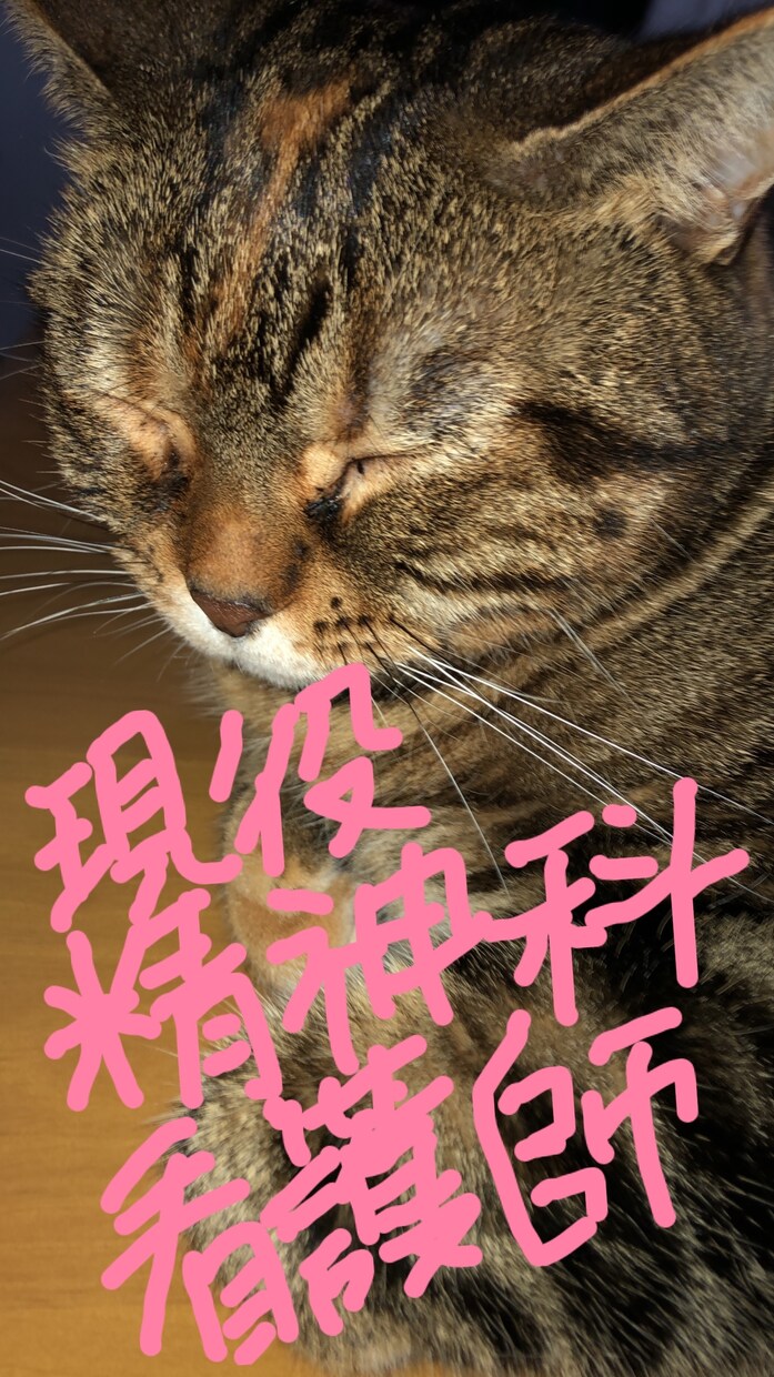 何でも聞きます 男女問わず何でも相談して下さい。 イメージ1