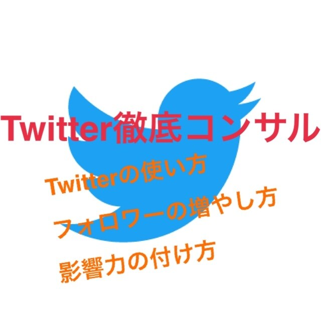先着3名特価！Twitter収益化方法教えます Twitterを収益化させた方法を2日間で教えます！！ イメージ1
