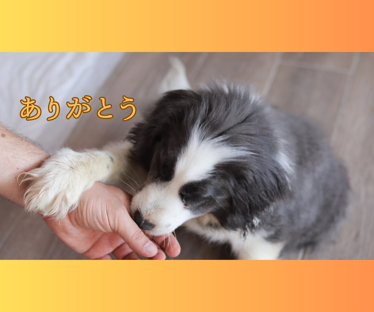 甘えたい本当の気持ち、私が受け止めます 一人で頑張りすぎてしまったあなたへ、話を聞かせてください。 イメージ10