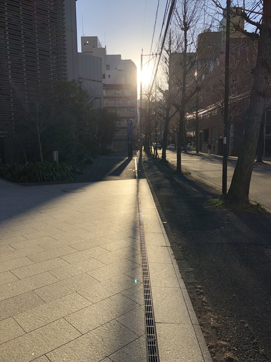 3日間あなたのお悩み、【霊視】相談承ります 〜光の道への進み方、お伝えします〜 イメージ2