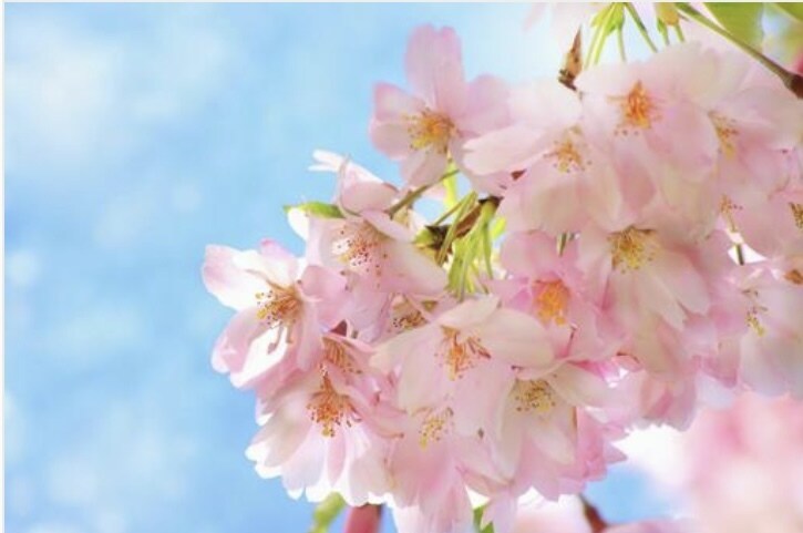 今が辛いと感じている方…私が寄り添い癒します あなたは一人ではありません✨ここで一息休んで欲しいな… イメージ8