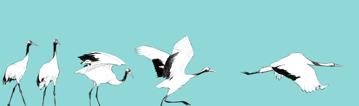 ペットや動物を絵本のようなイラストにします 犬、猫、鳥、花、昆虫、なんでも絵本の挿絵のようなイラストに！ イメージ6