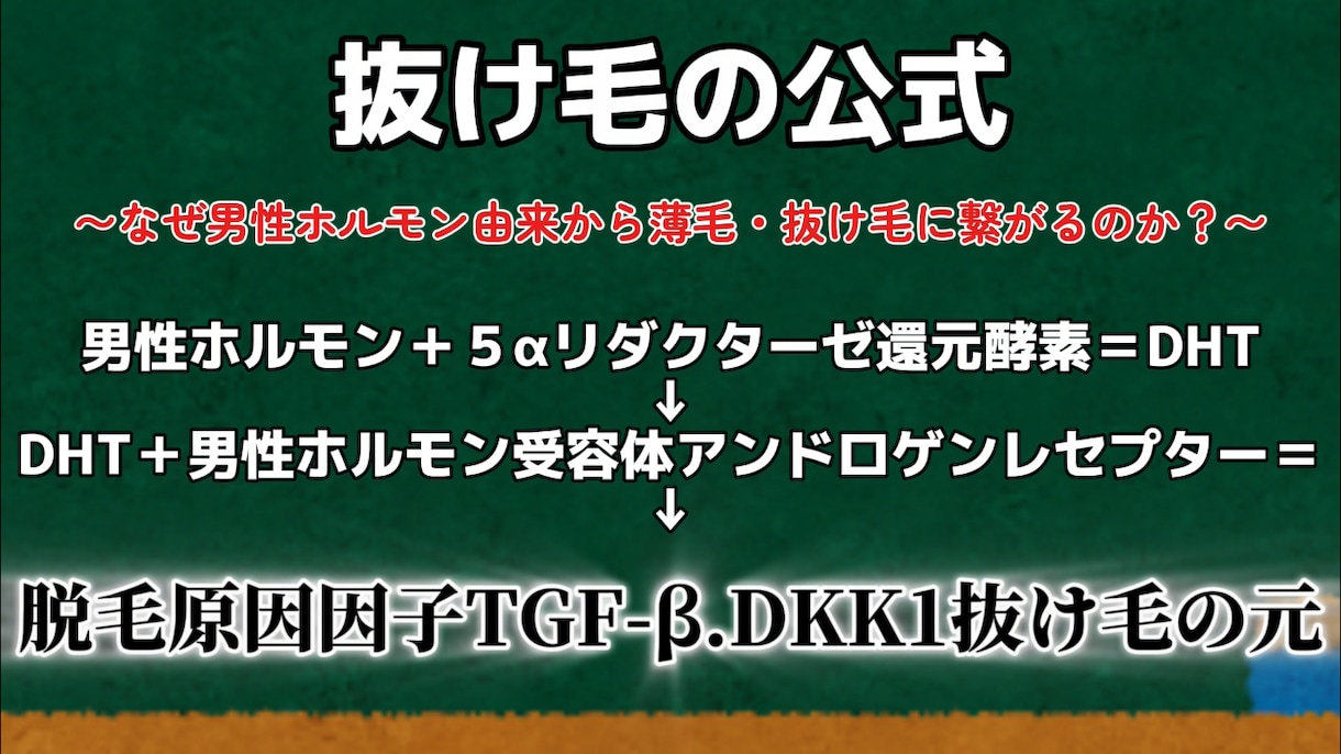 薬に頼らない薄毛・抜け毛・AGA対策を伝えます AGA・FAGA  10000回頭皮を診たプロが解説します！ イメージ2