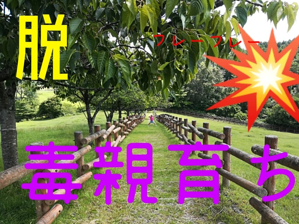 毒親育ちアダルトチルドレンから解放させます 空いている時間でメッセージのやりとりをし心を和ませませんか？ イメージ1