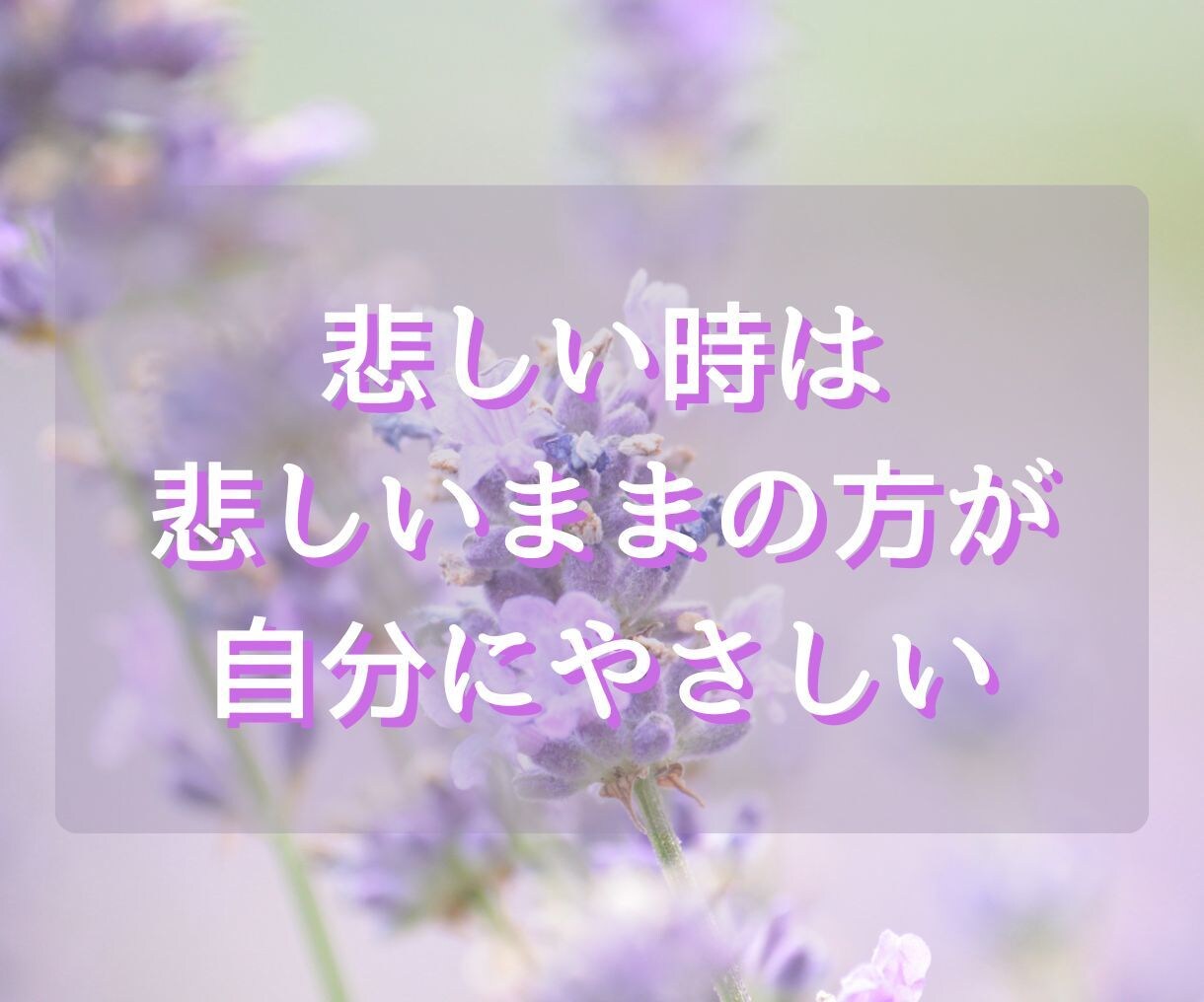家族がうつ病☘️10年間看病し続けた私が寄添います 不安・絶望感・孤独感・不眠誰にも言えない苦しみ☘️話して♡ イメージ3