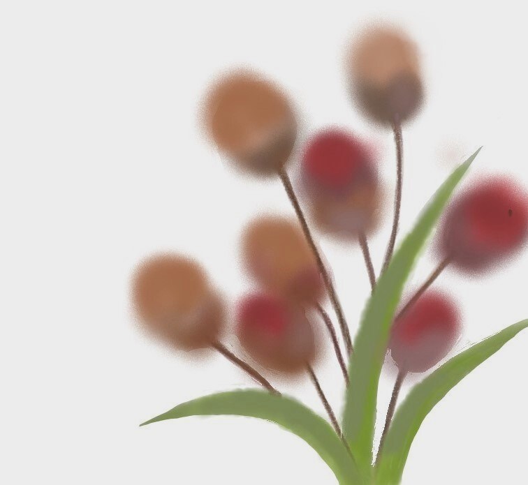 植物 花のイラストを描きます あなたのお気に入りの植物 花のイラストを描きます。 イメージ7