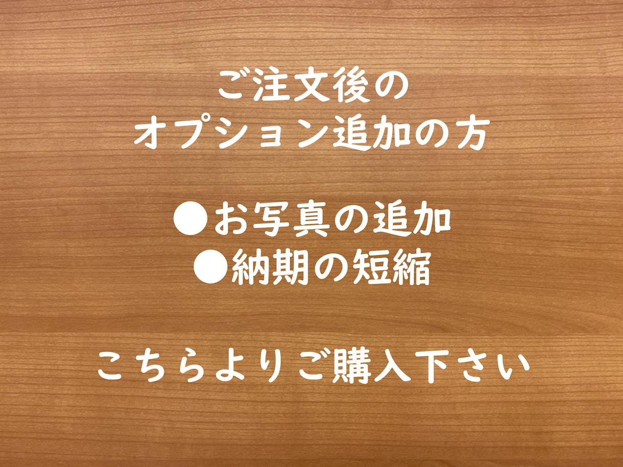 ご注文後のオプション追加 受けたまわります ご注文後にオプションを追加されたい方用です。 イメージ1