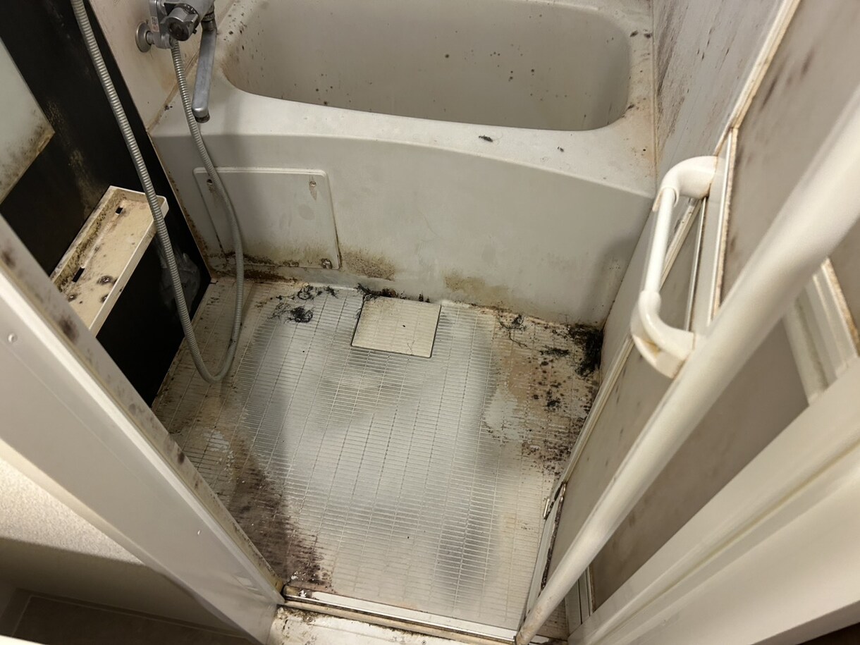 関東一都三県でお片付け手伝います 一人で抱えなくても大丈夫です。お気軽にご相談ください。 イメージ1