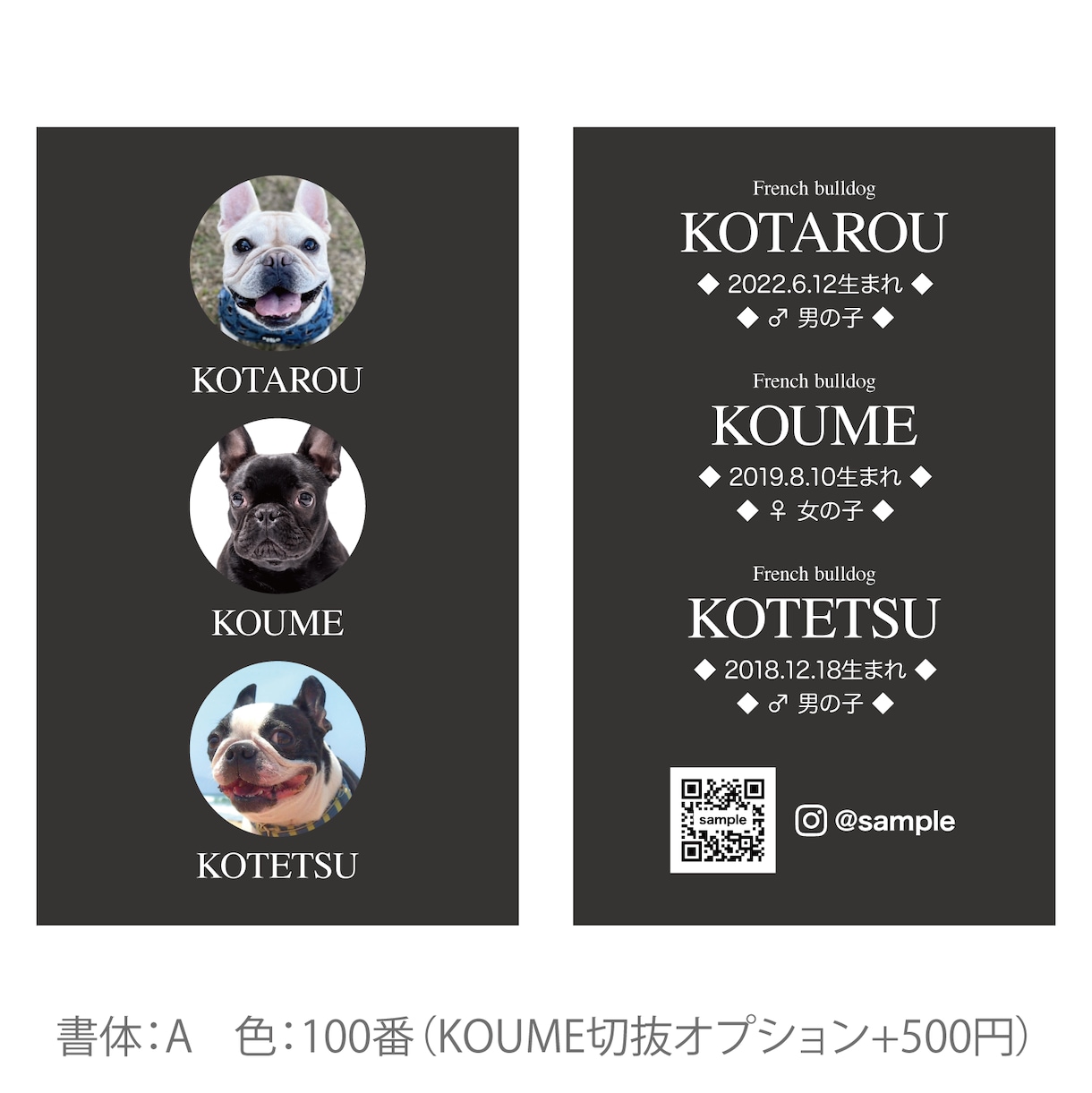 3匹用　シンプルデザイン　うちの子名刺お作りします 【両面印刷100枚】送料無料　セミオーダー　QRコード入り イメージ10