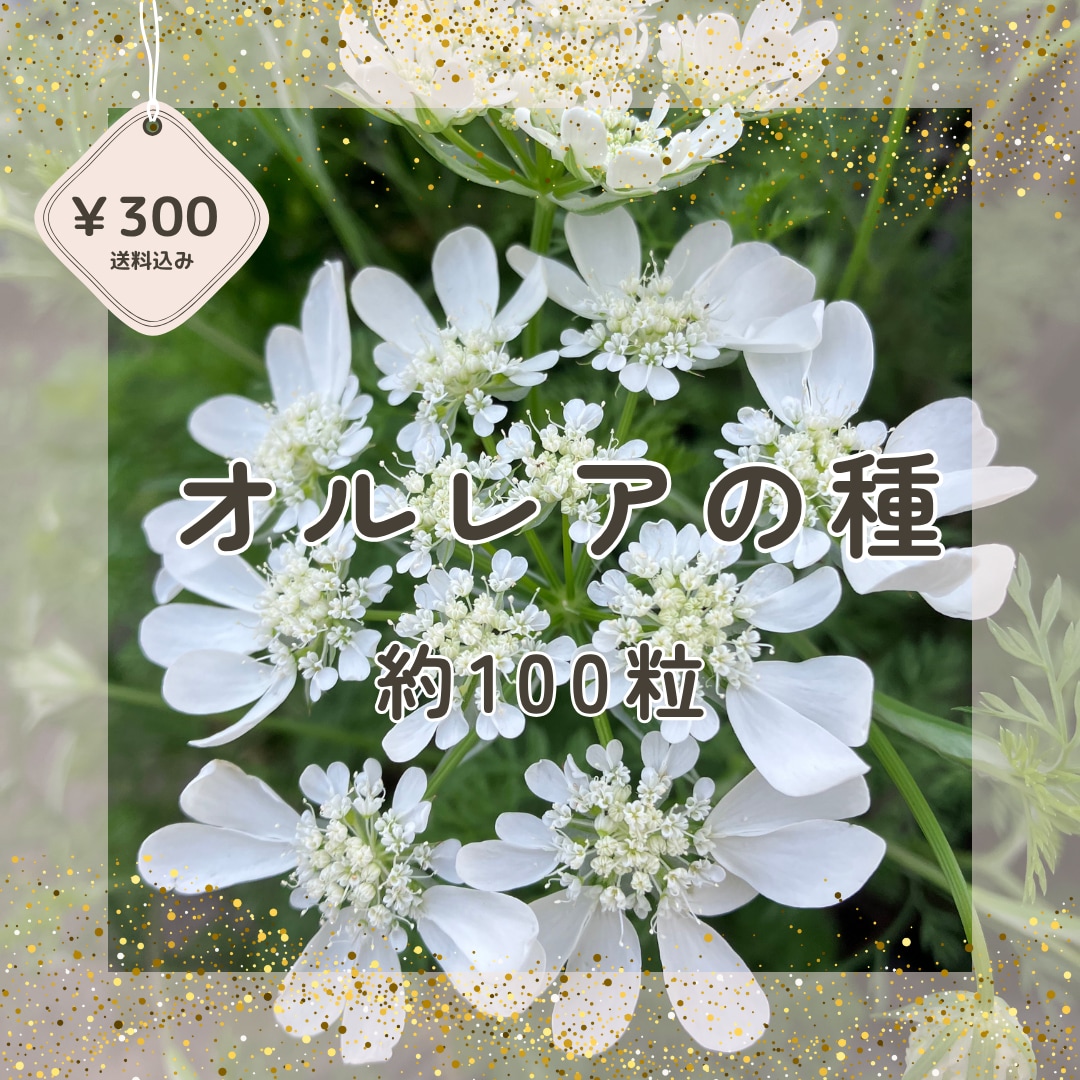 メルカリ出品写真を丁寧に編集＆加工します 背景白抜きや明るさ調整、文字入れなど対応可能。 イメージ1
