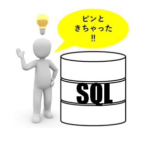 SQLの最適化・品質改善を支援します DBの上位資格者が、豊富な経験を元にSQL性能を引き出します イメージ1