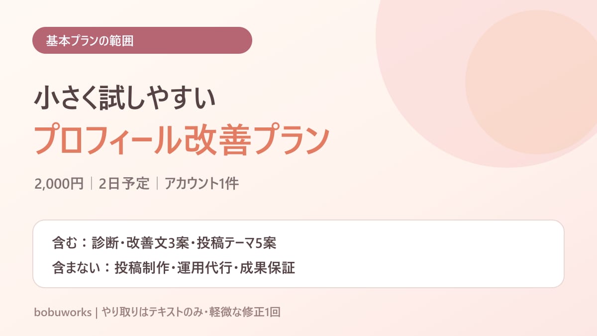 インスタ初心者のプロフィールを診断します 改善文3案と投稿テーマ5案をPDFで納品 イメージ4