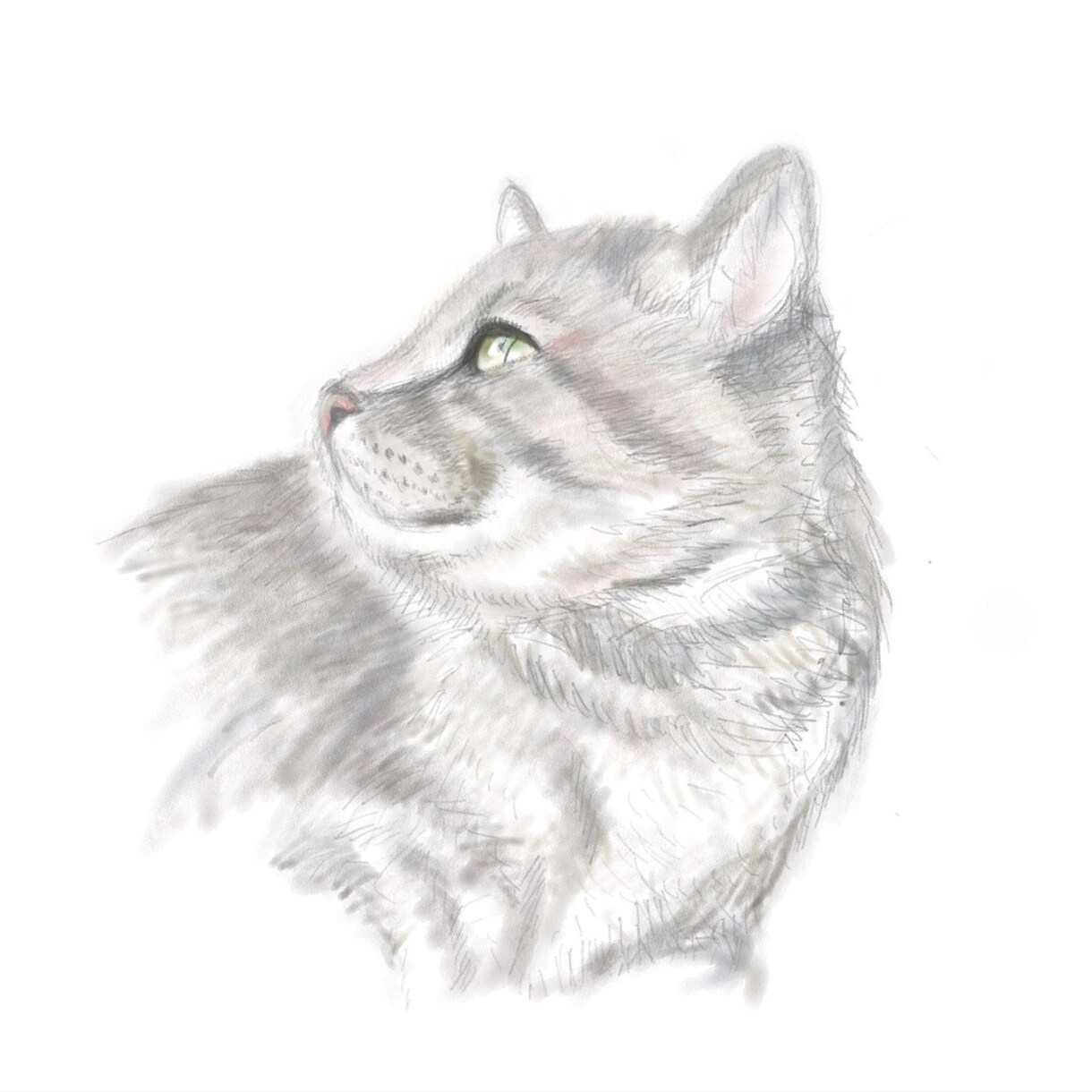 ほのぼのタッチで可愛い似顔絵を描きます 愛を込めて、細かいところも描き込みます！ イメージ8