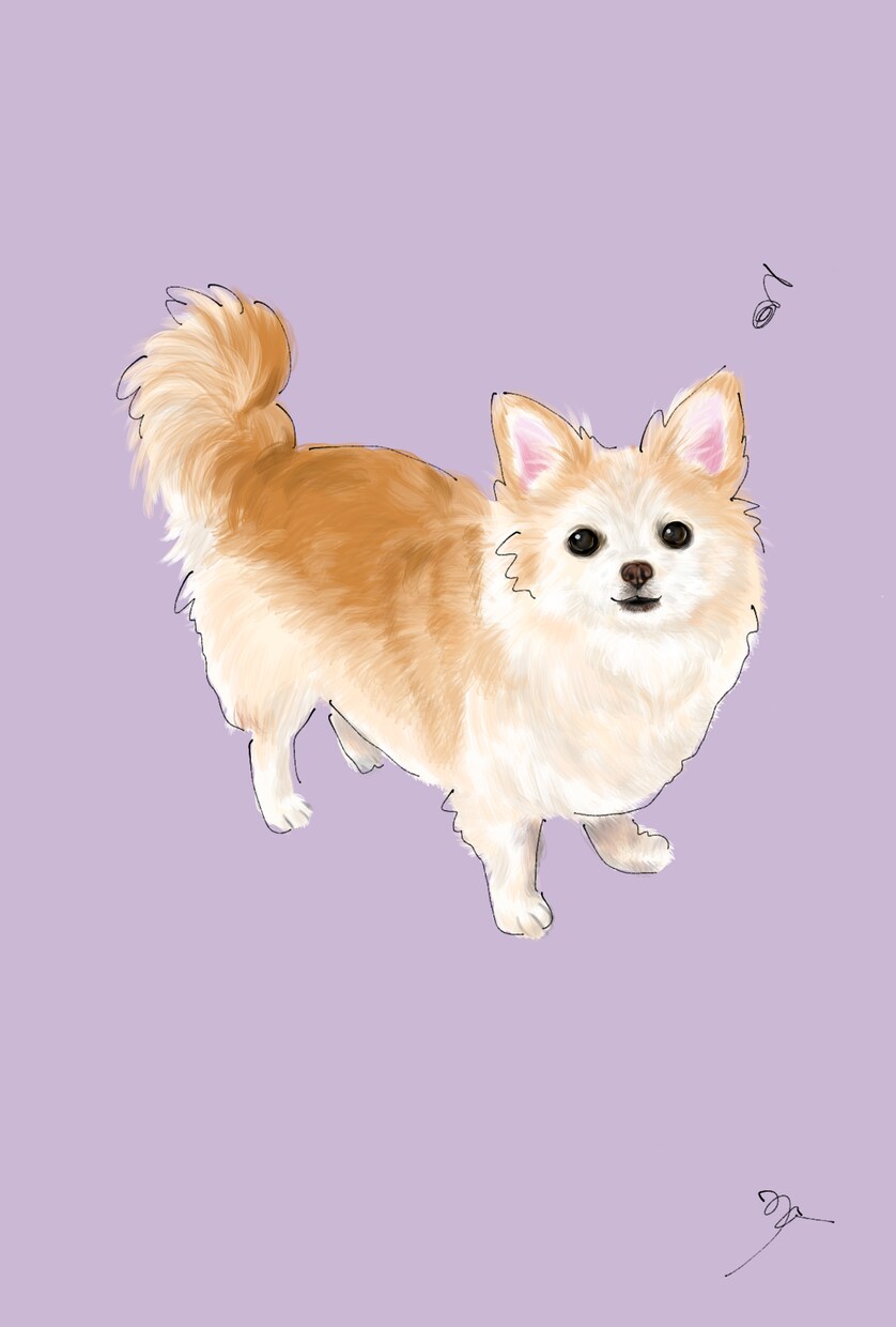 お気に入りの写真からペットのイラストを描きます リアルだけど温かみのあるデジタルイラストいかがですか？ イメージ7