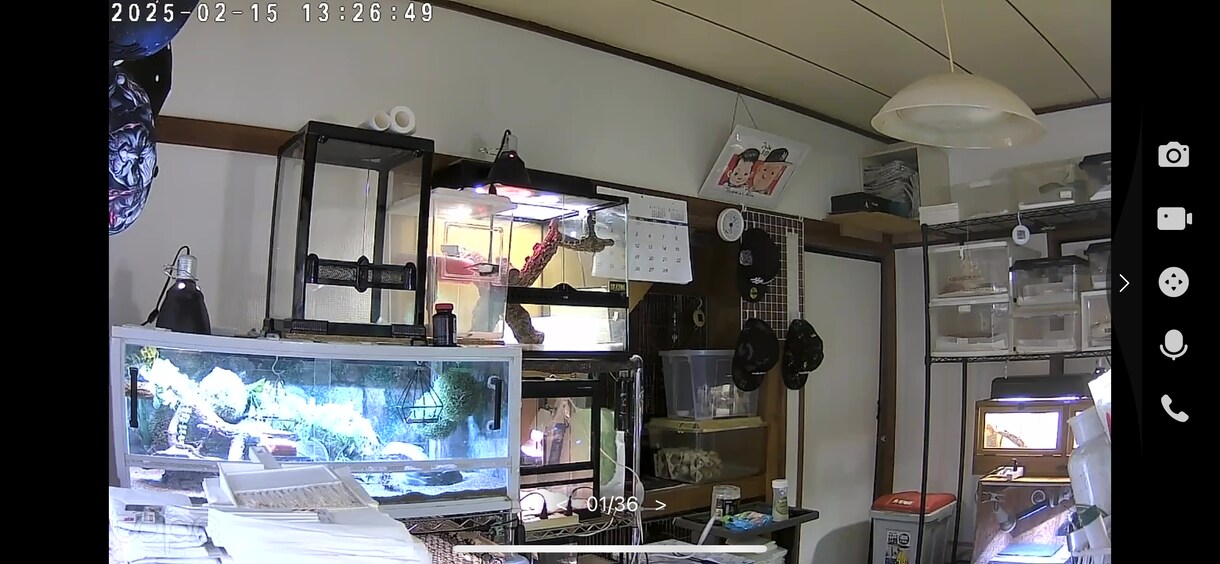 色んな相談乗ります 爬虫類飼育、恋愛相談、色んな視野からご相談に乗ります イメージ2