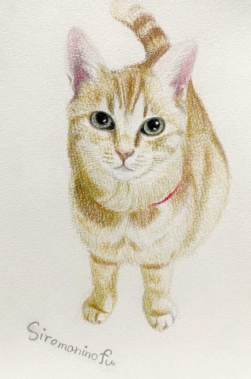 色鉛筆で動物、ペットの似顔絵お描きします 温かみのある世界に一つだけの絵をお届けします イメージ6