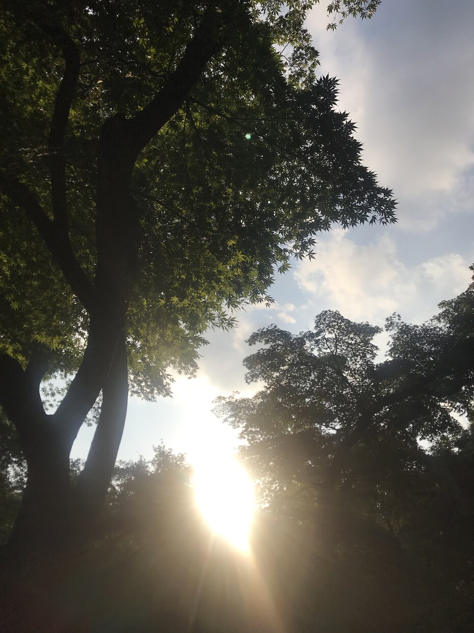 あなたの真実のストーリー、詳細タロットで鑑定します 恋愛・仕事・家庭をたっぷり丁寧分析！明日を笑顔にしましょう！ イメージ2