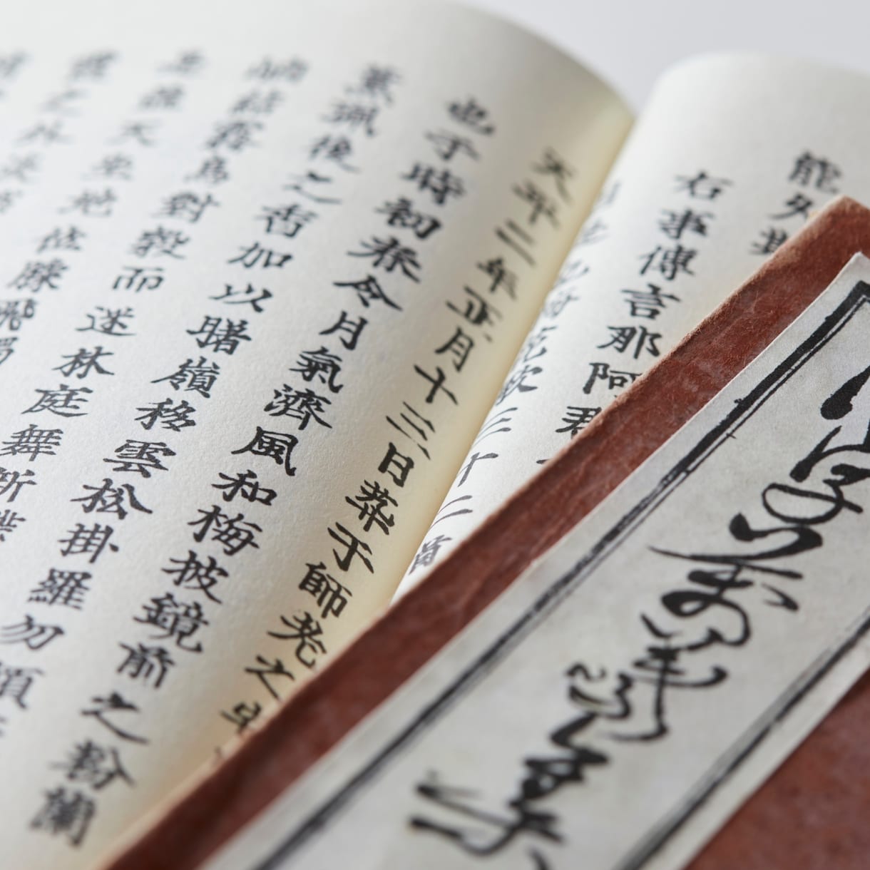 完全霊視♦︎家族や夫婦の人間関係、仕事を視ます 仕事、人間関係、家族、人生。報われず苦しんできたあなたへ イメージ6
