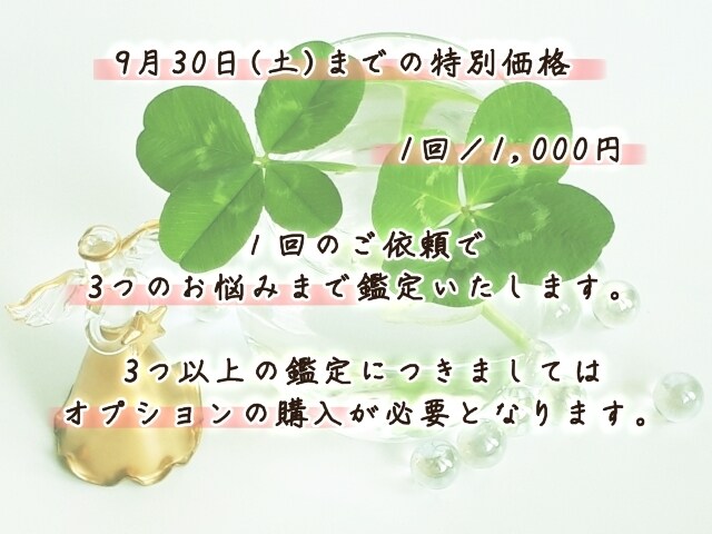 あなた様のお悩みを解決するお手伝いをいたします 9月30日(土)までの特別価格 イメージ2